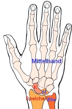 Mittelhand